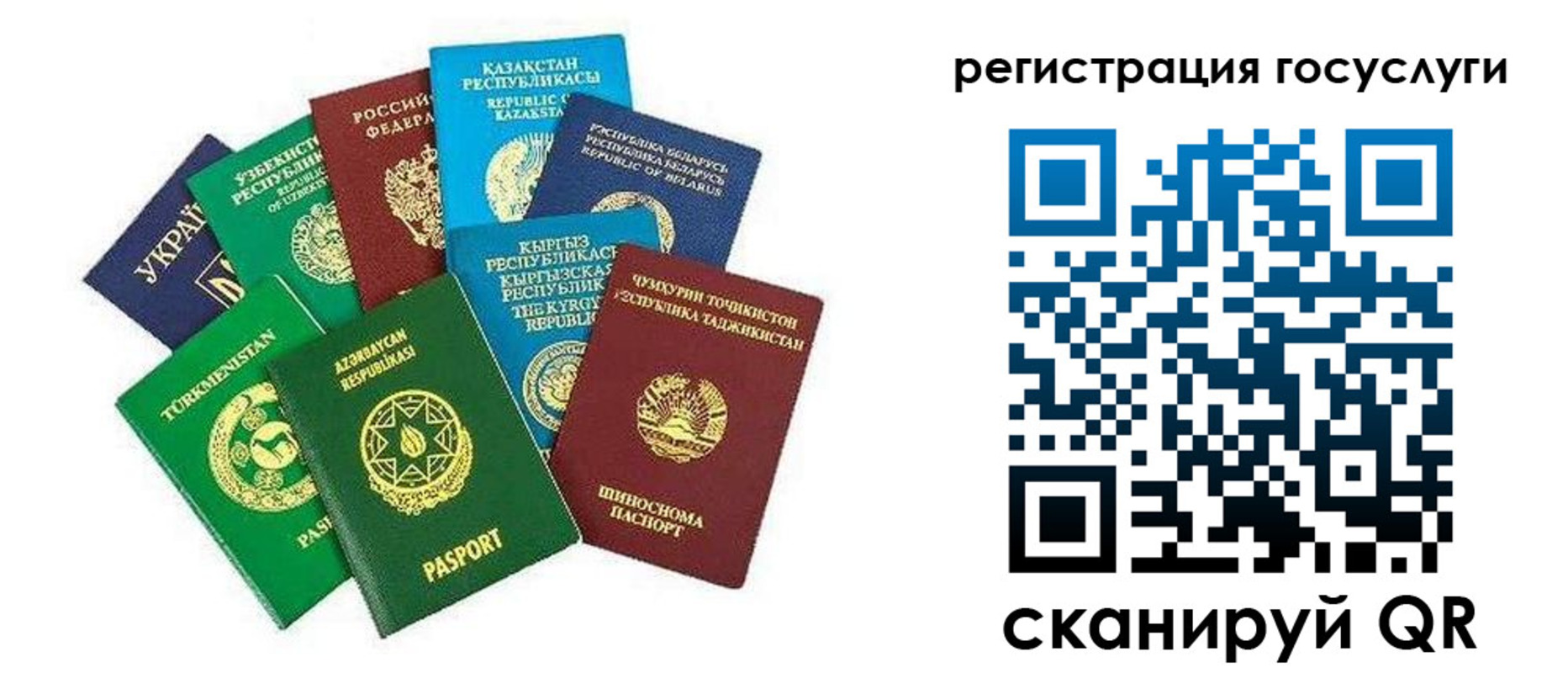 временная регистрация госуслуги в Александровске